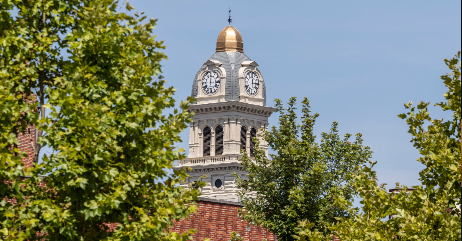 Emergency Fund Savings